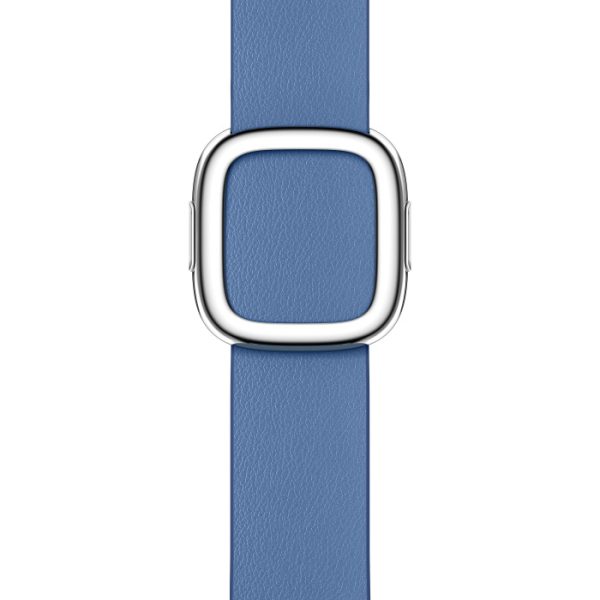 Azure Modern Buckle