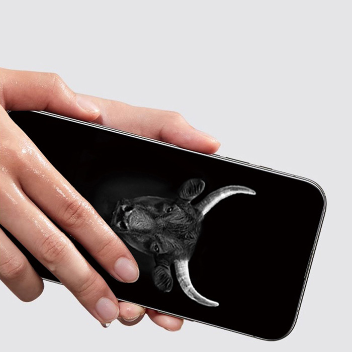 Dán Cường Lực Chống Nhìn Trộm iPhone 16 Pro Mipow Kingbull Anti-Spy Premium HD (2.7D) - Ảnh 3